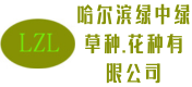 绿中绿园林绿化